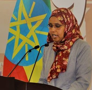 وزیر دفاع ملی